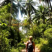 La randonnee en foret tropicale