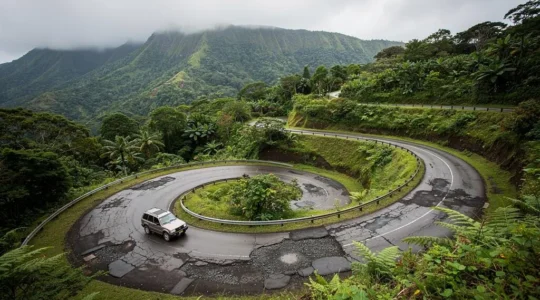 Une voiture de location aborde un lacet serré sur une route de montagne étroite et humide au milieu de la forêt tropicale de la Dominique.