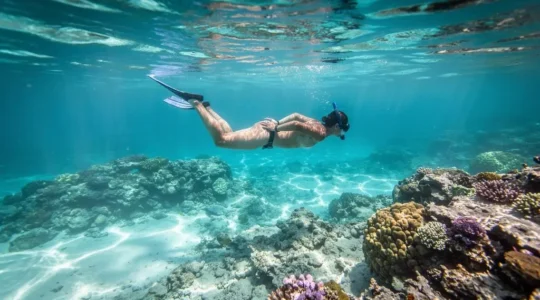 Un nageur en masque et tuba flotte horizontalement à la surface, au-dessus d'un récif corallien caribéen peu profond, sans toucher les coraux.