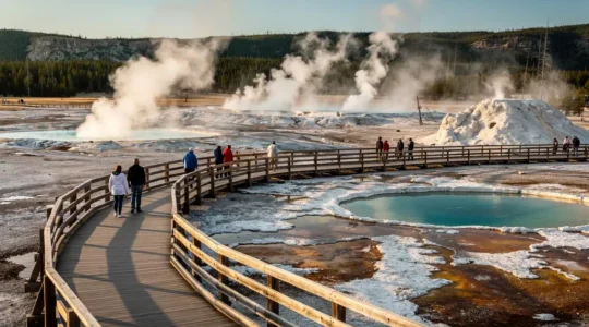 Passerelles d'un bassin de geysers du parc de Yellowstone avec plusieurs colonnes de vapeur visibles et des visiteurs répartis le long du sentier surélevé.